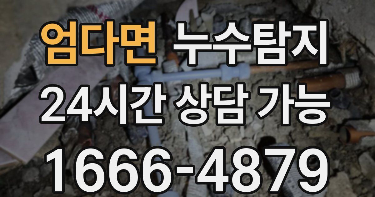엄다면 누수