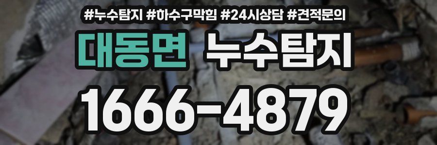 누수탐지