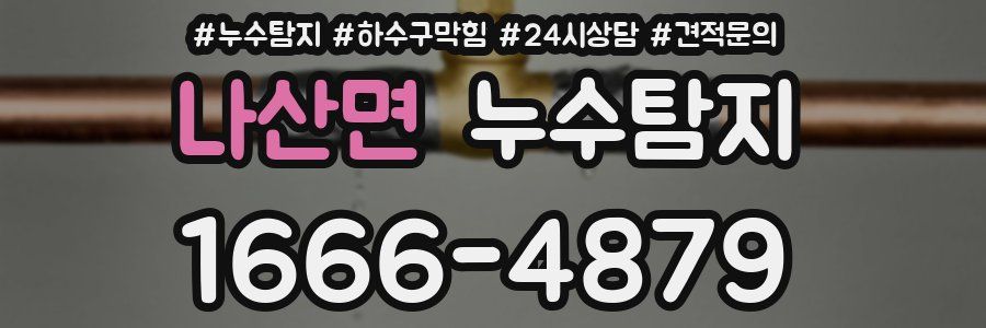 누수탐지