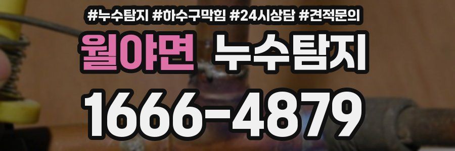 누수탐지