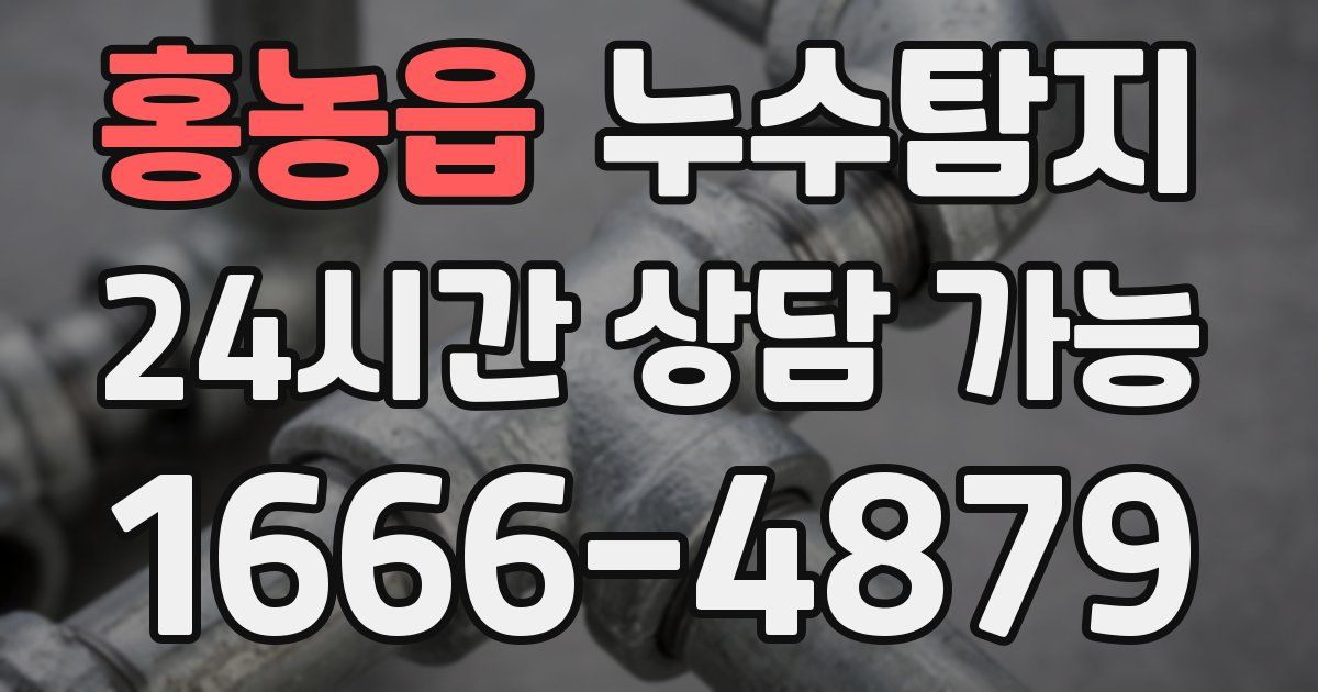 홍농읍 누수