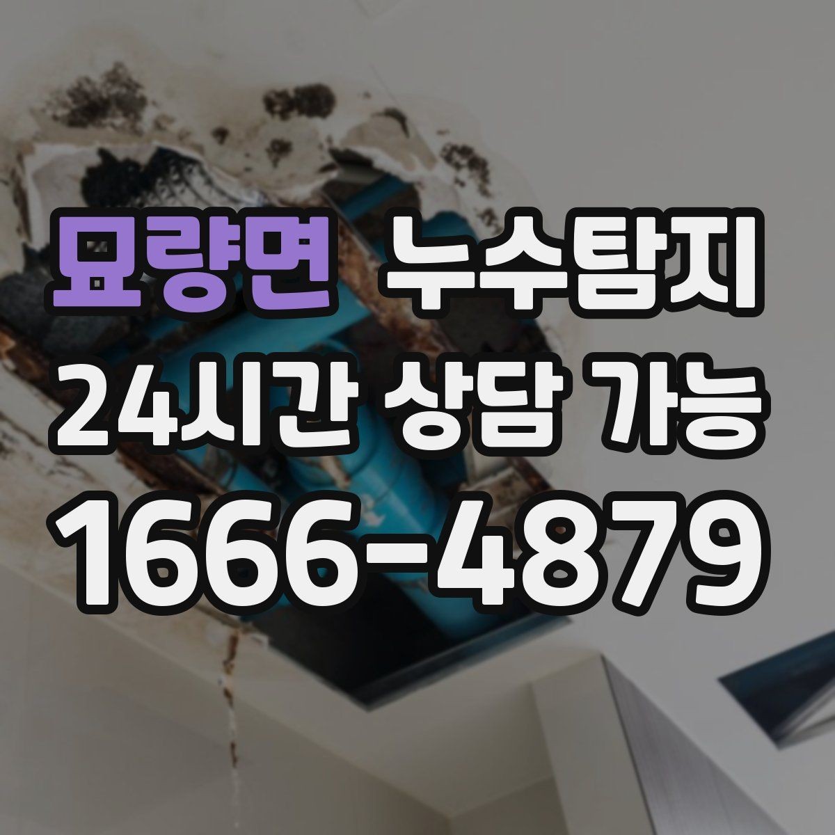 묘량면 누수탐지 예약부터 복구까지 일정 관리