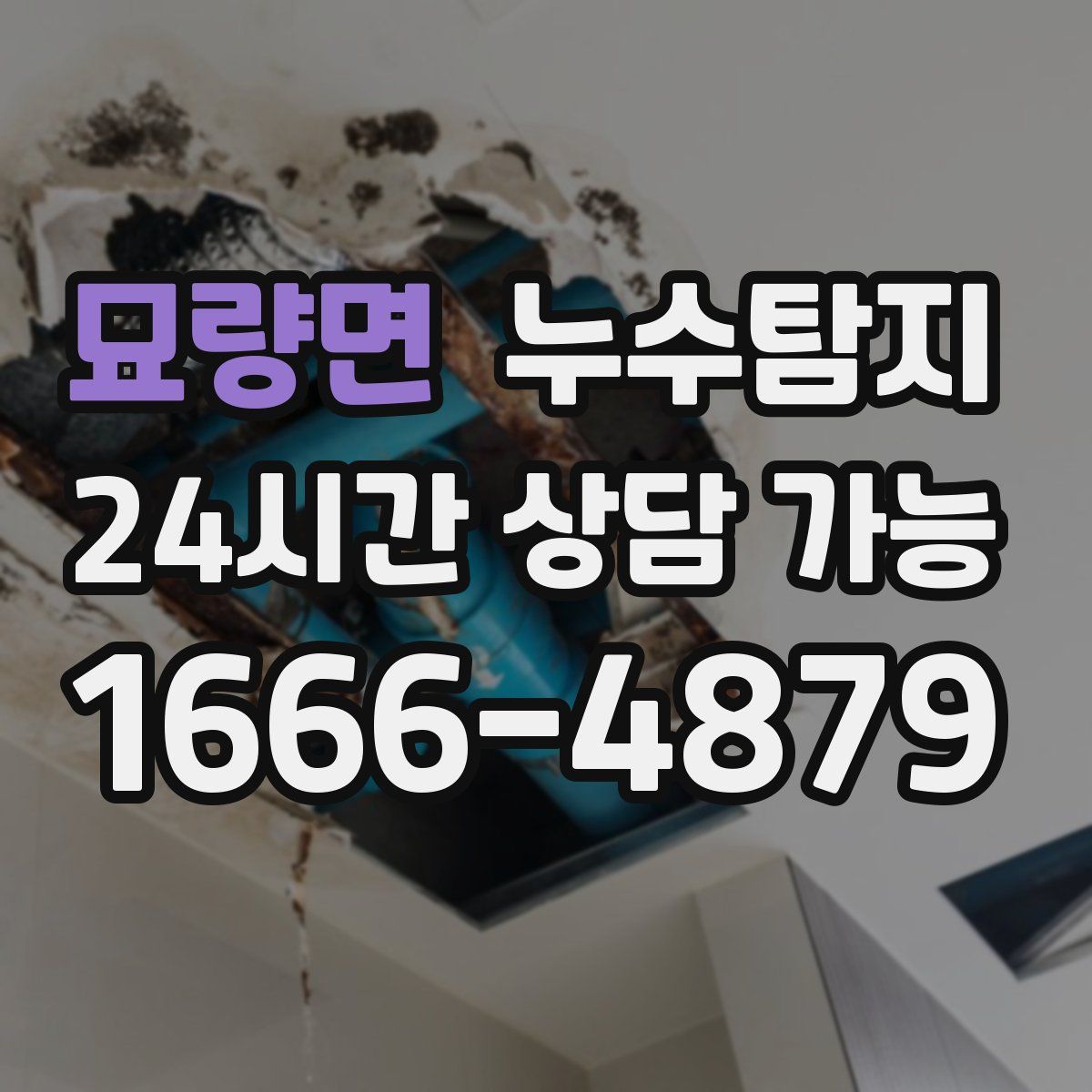묘량면 누수탐지