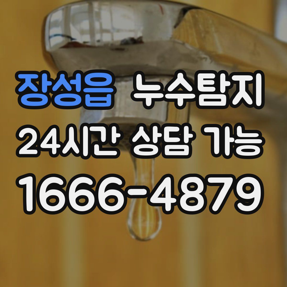 장성읍 누수탐지
