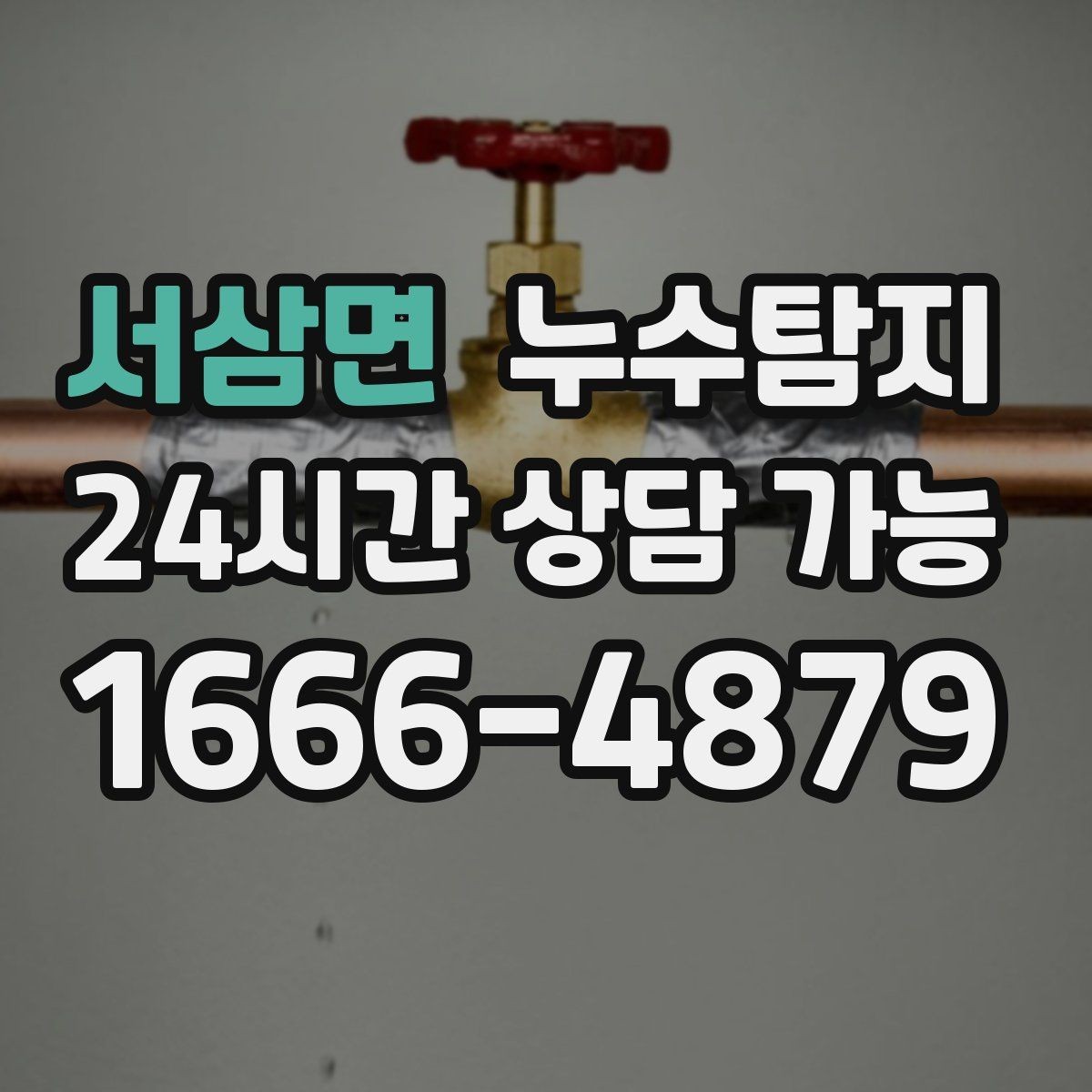서삼면 누수탐지 아이 방 곰팡이 원인 끝까지 추적