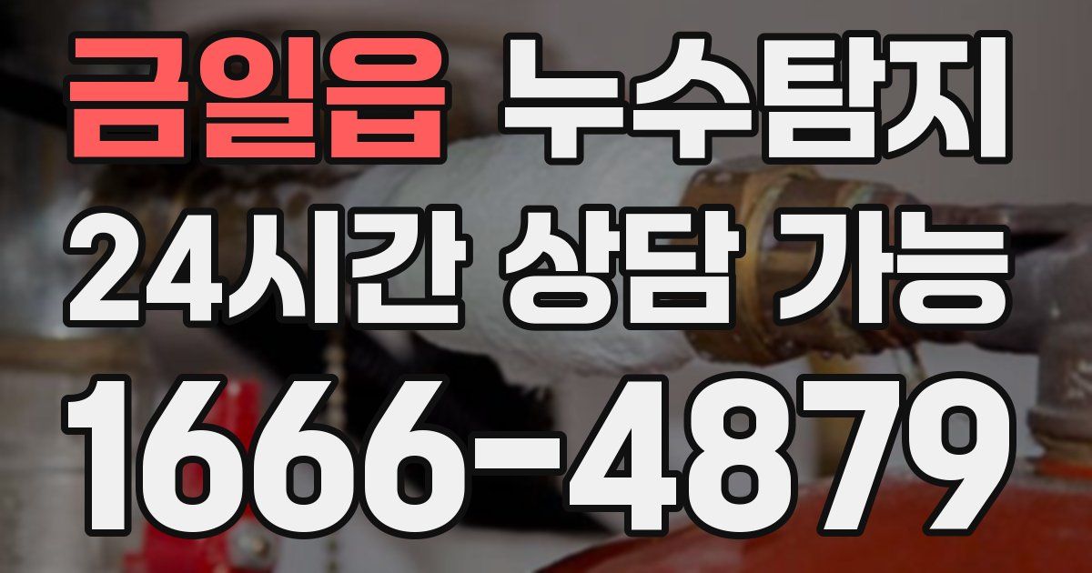 금일읍 누수