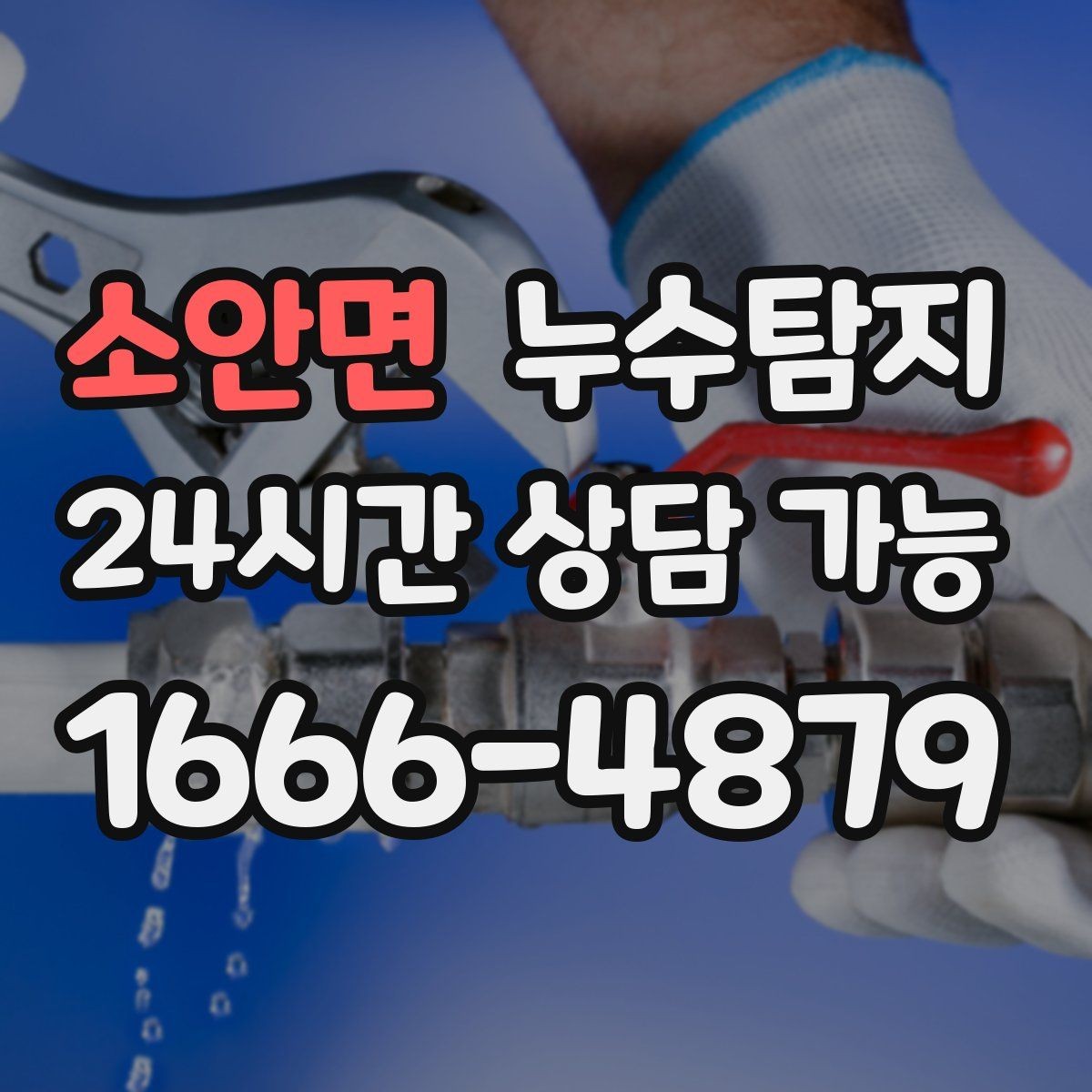 소안면 누수탐지 공실 관리 정기 점검 운영기