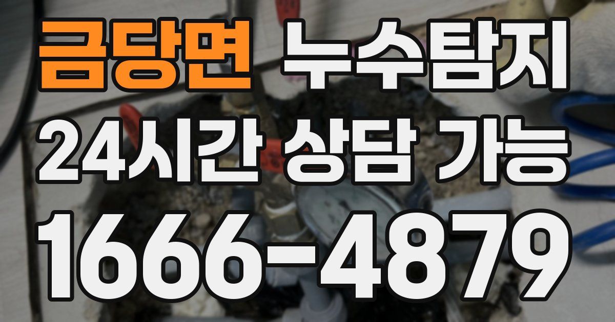 금당면 누수
