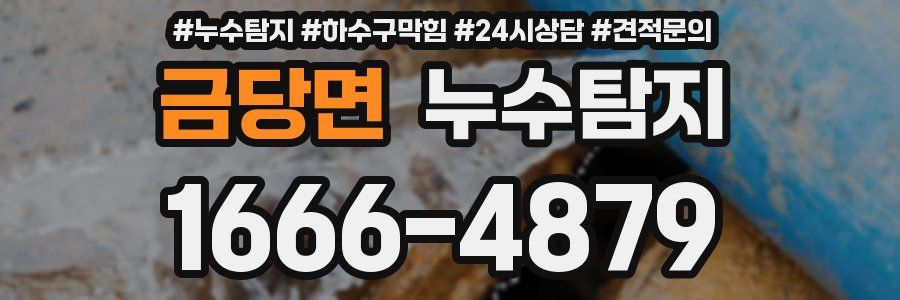 누수탐지
