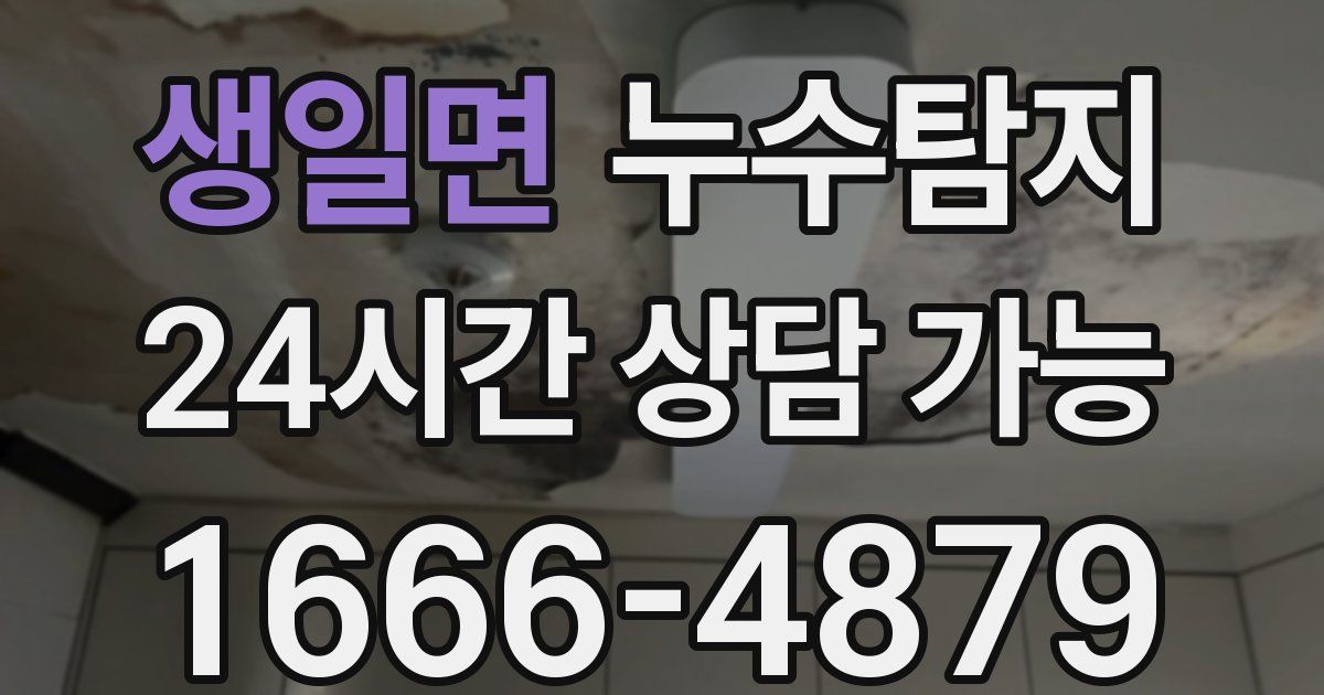 생일면 누수