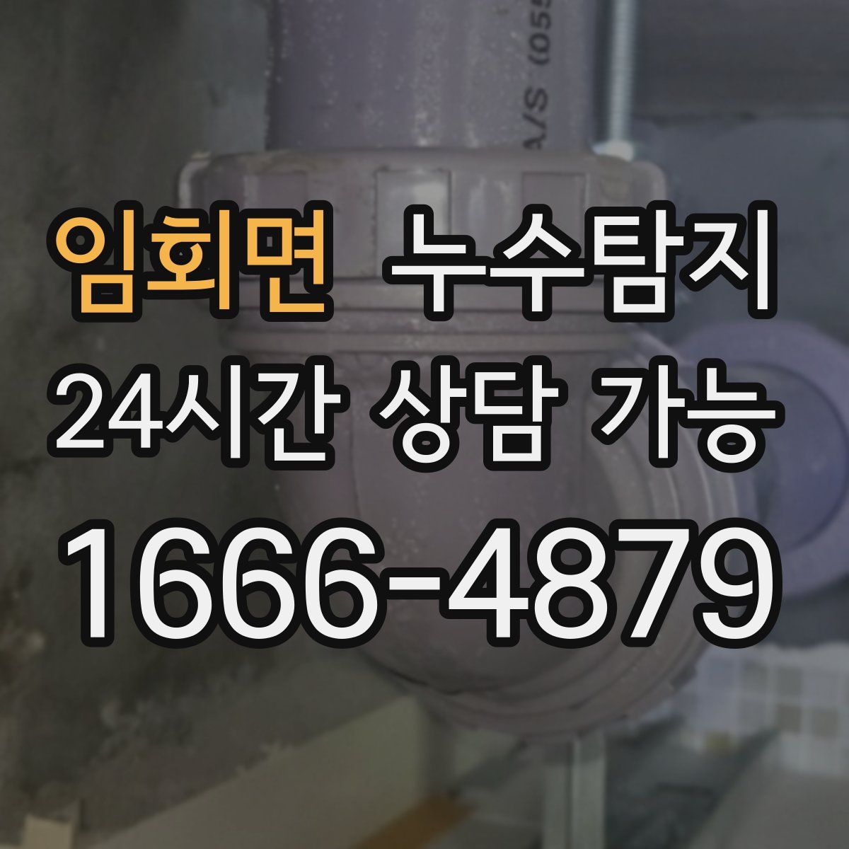 임회면 누수탐지
