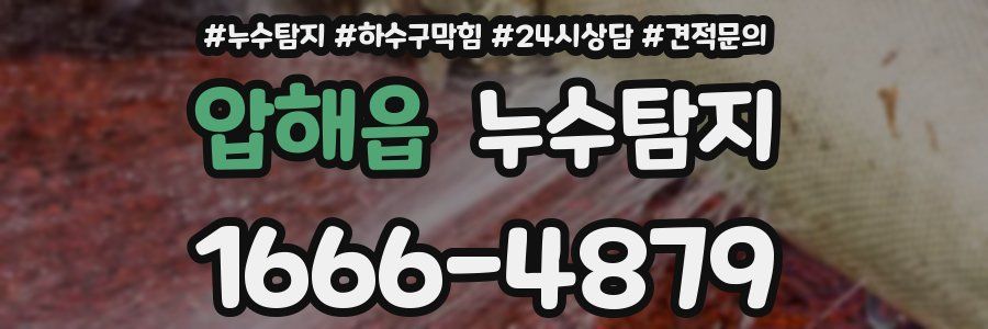 누수탐지