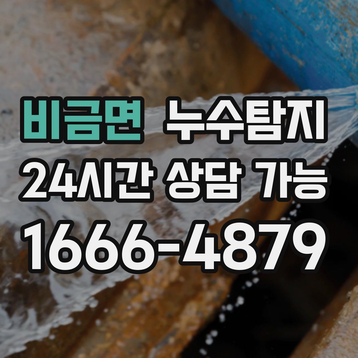 비금면 누수탐지
