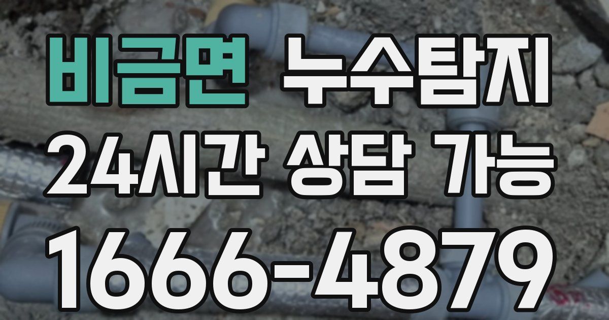 비금면 누수