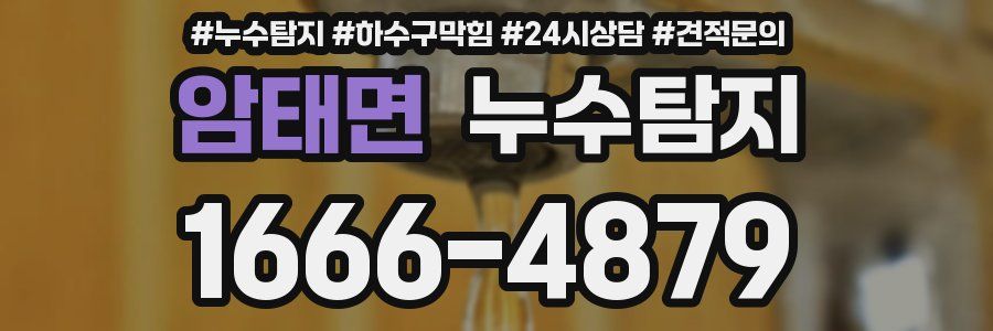누수탐지