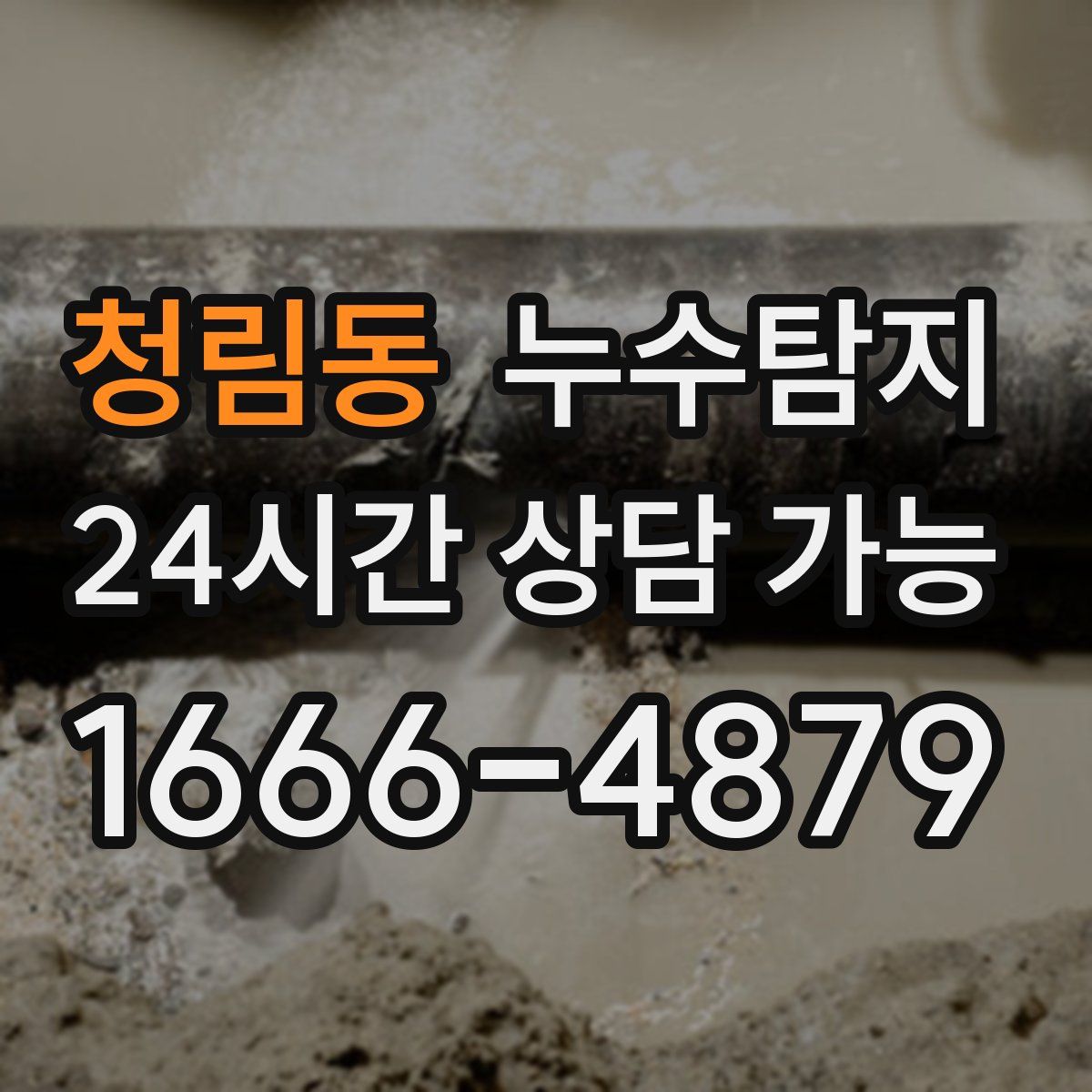 청림동 누수탐지
