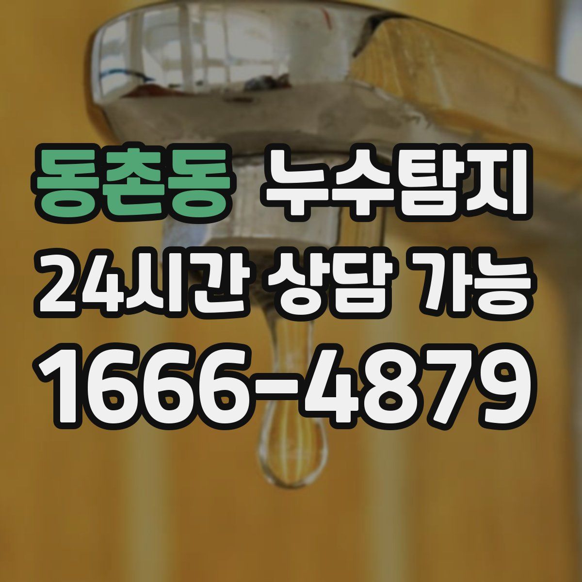 동촌동 누수탐지