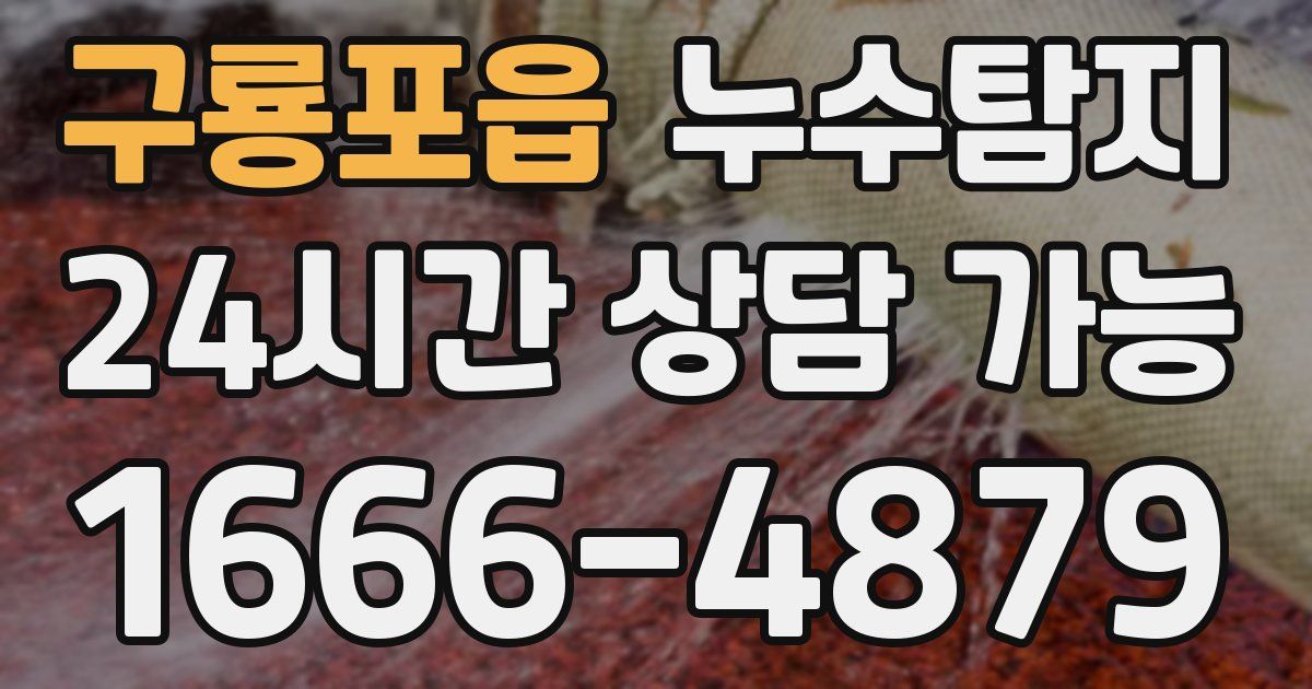구룡포읍 누수