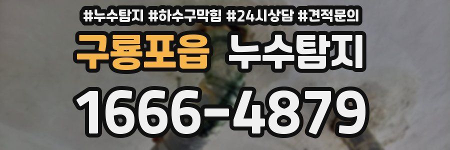 누수탐지