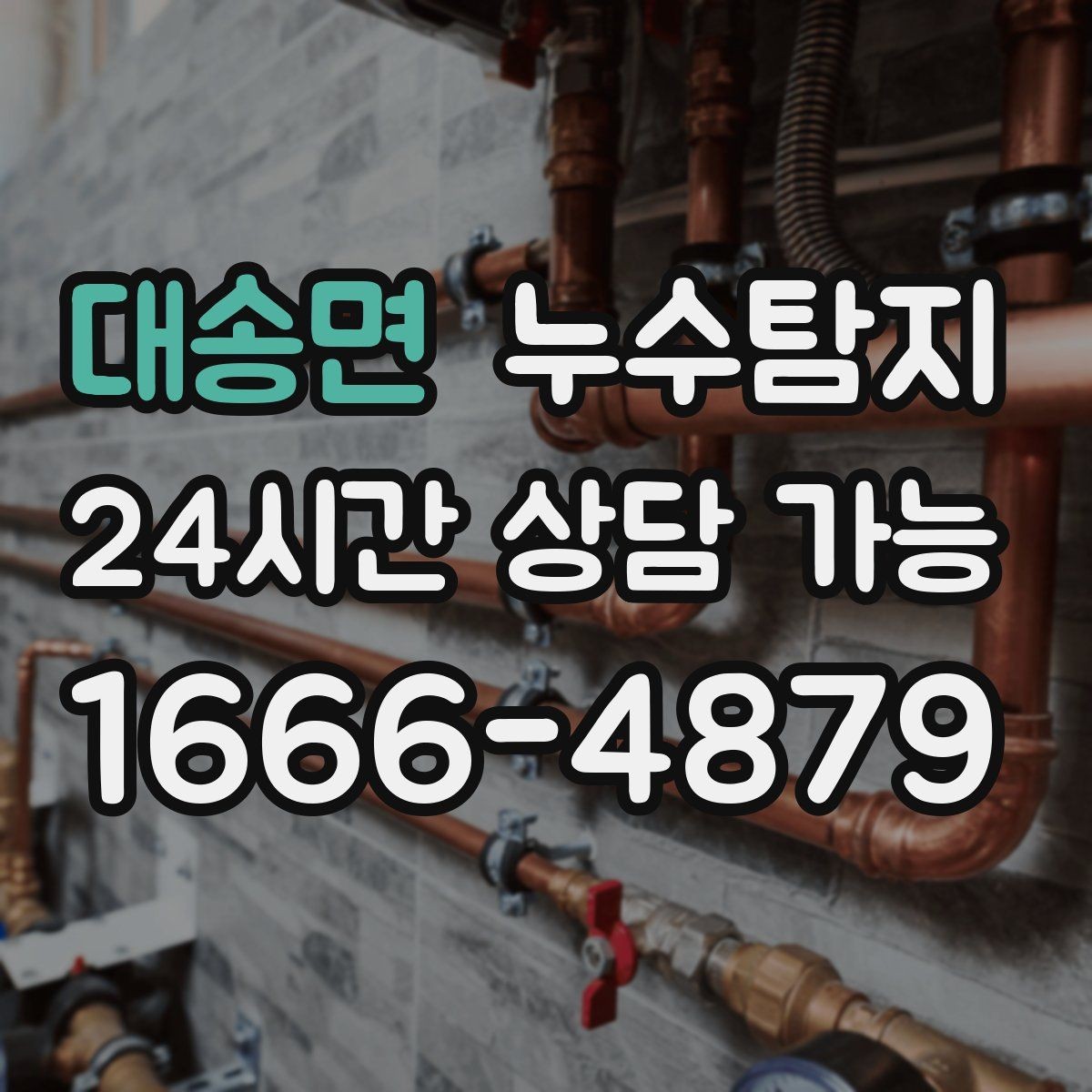 대송면 누수탐지 욕실 주방 배관 누수 점검