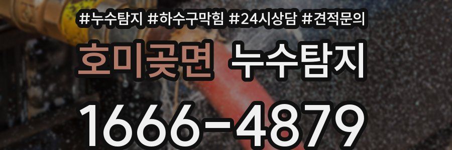 누수탐지