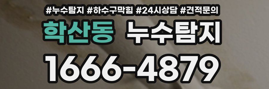 누수탐지