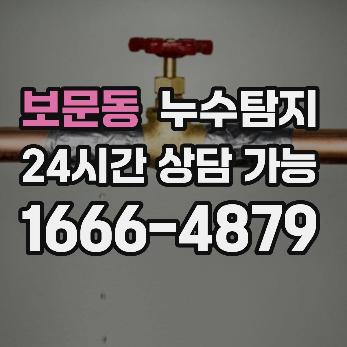 보문동 누수탐지 배수구 역류와 악취 해결 노하우