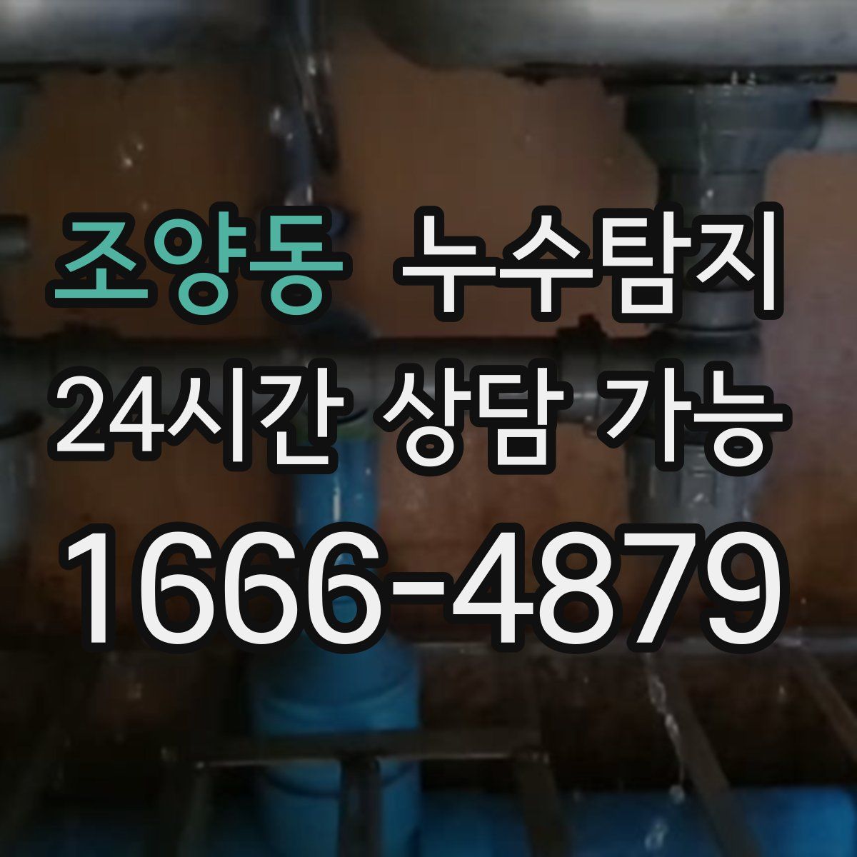 조양동 누수탐지