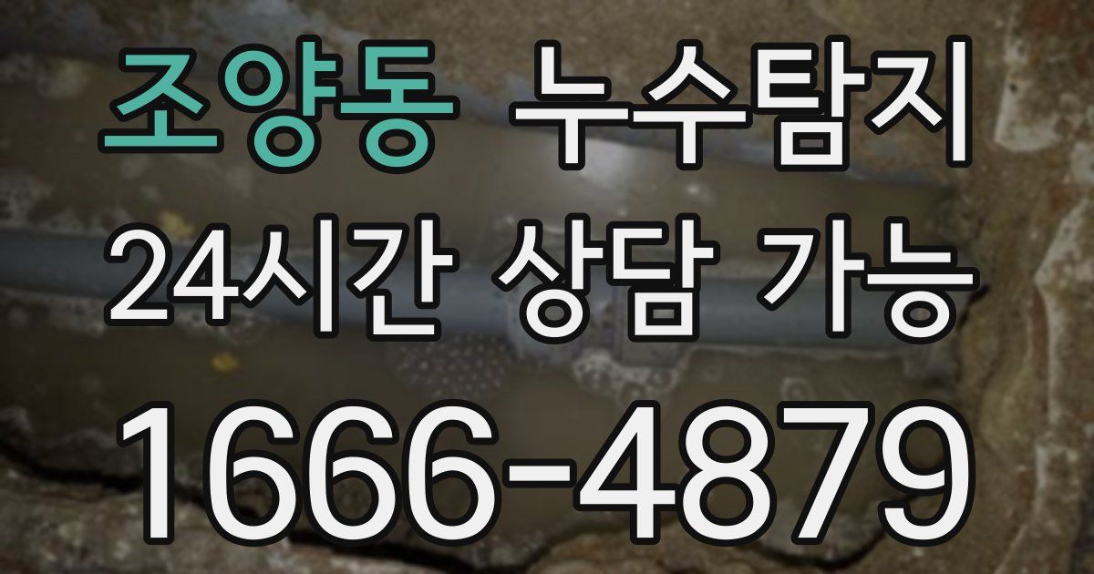 조양동 누수