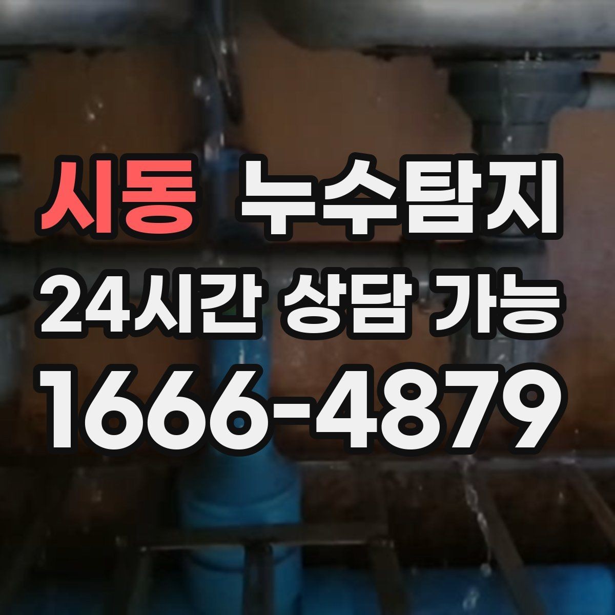 시동 누수탐지 거실 조명 주변 얼룩 해결기