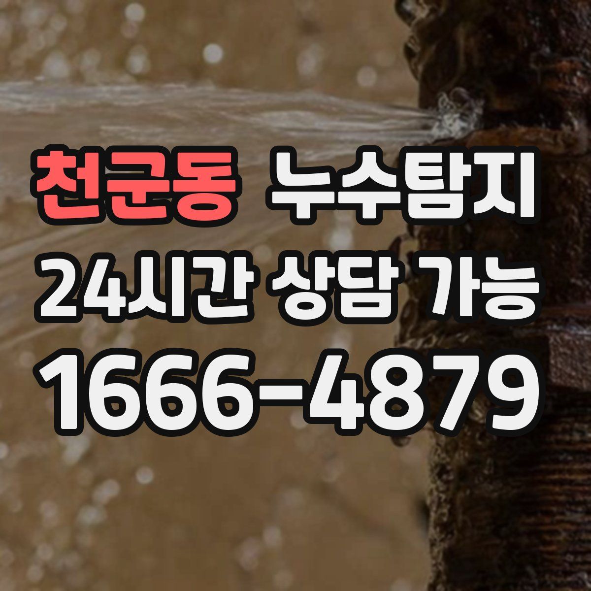 천군동 누수탐지