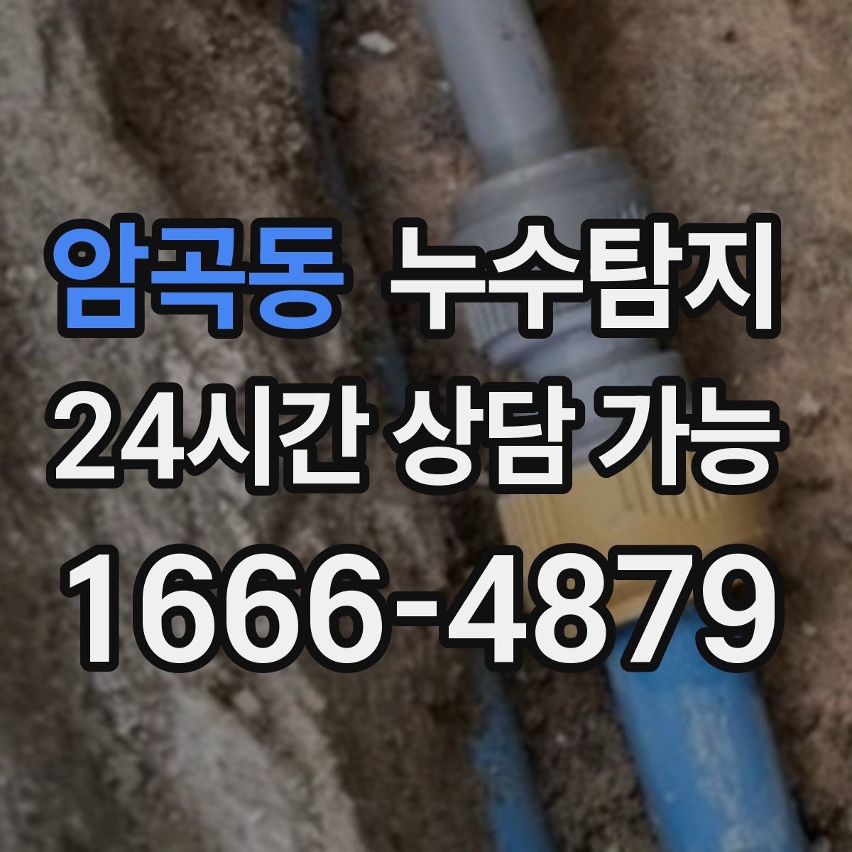 암곡동 누수탐지