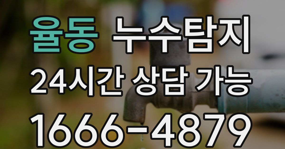 율동 누수