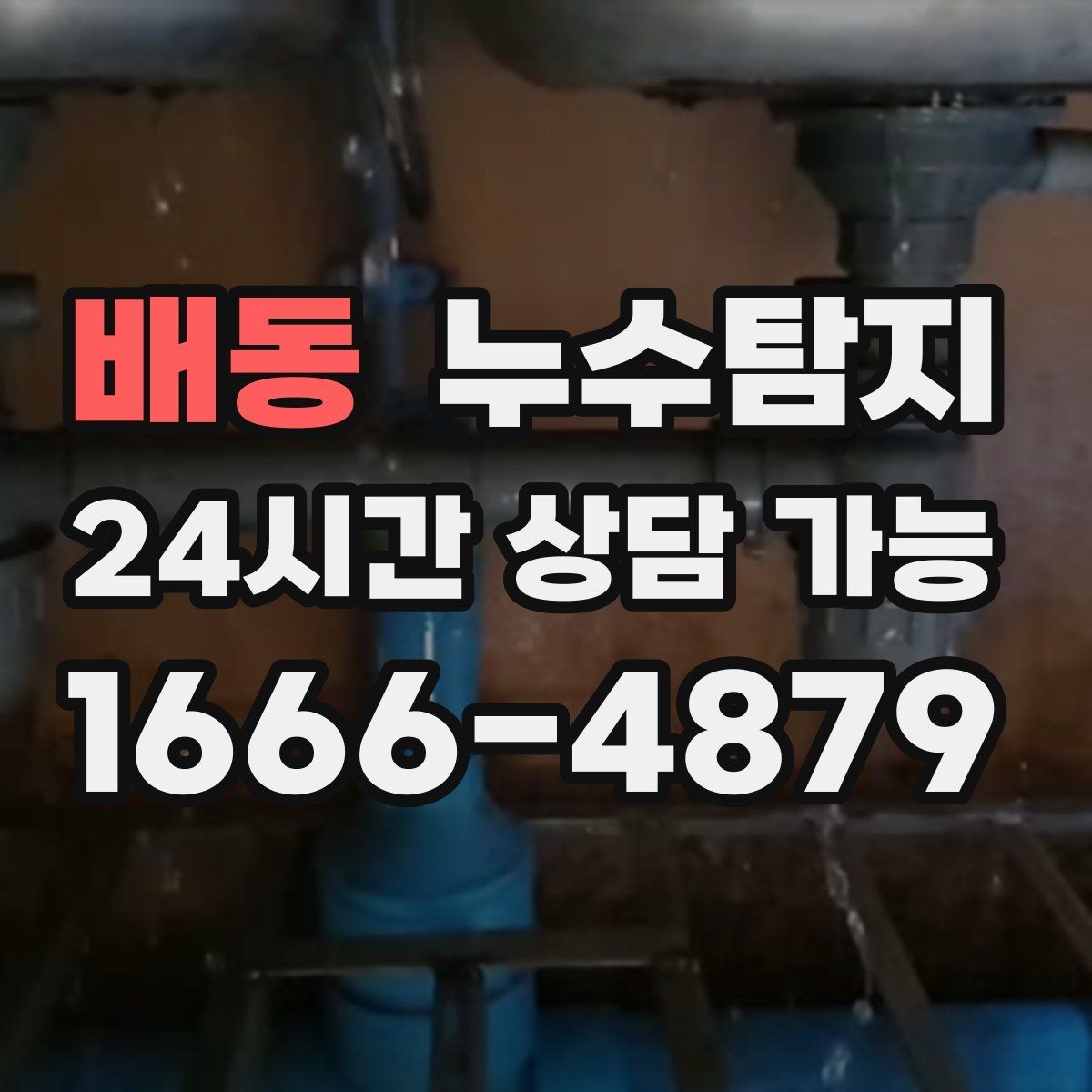 배동 누수탐지 벽체 내부 소리로 찾은 단서
