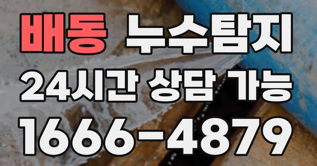 배동 누수
