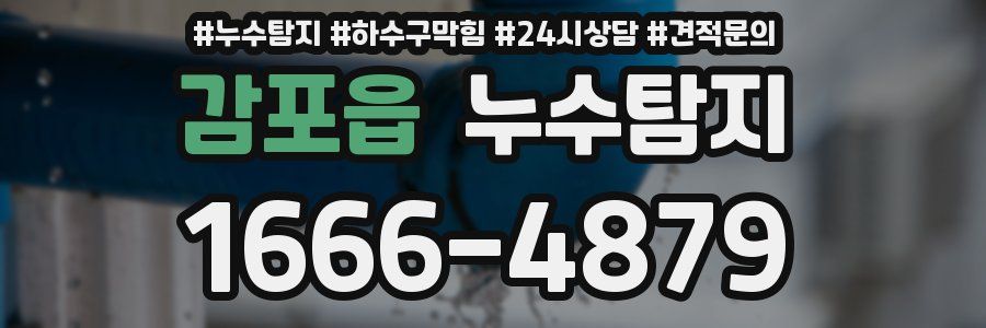 누수탐지