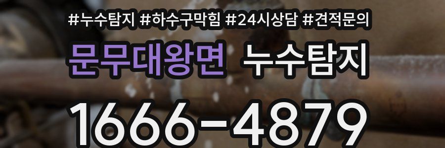 누수탐지