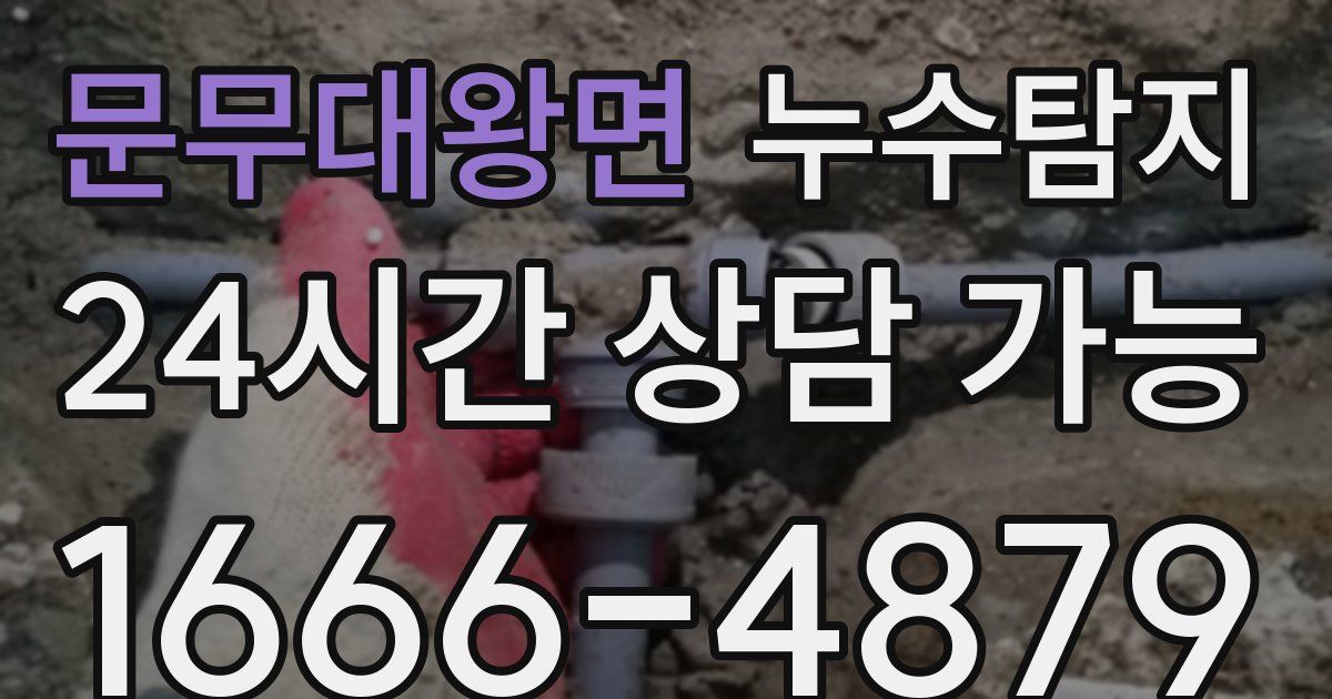 문무대왕면 누수