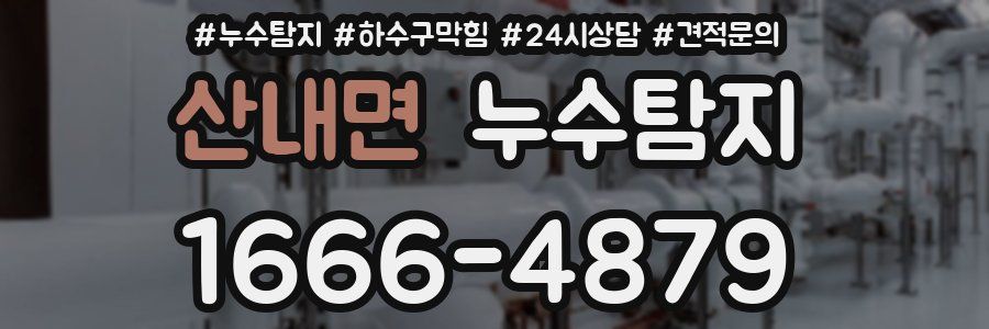 누수탐지