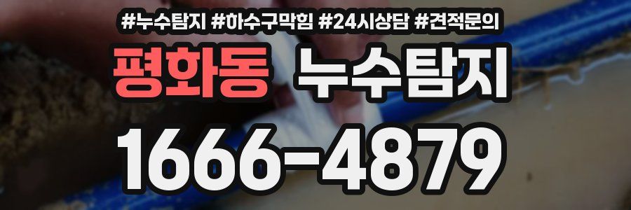 누수탐지