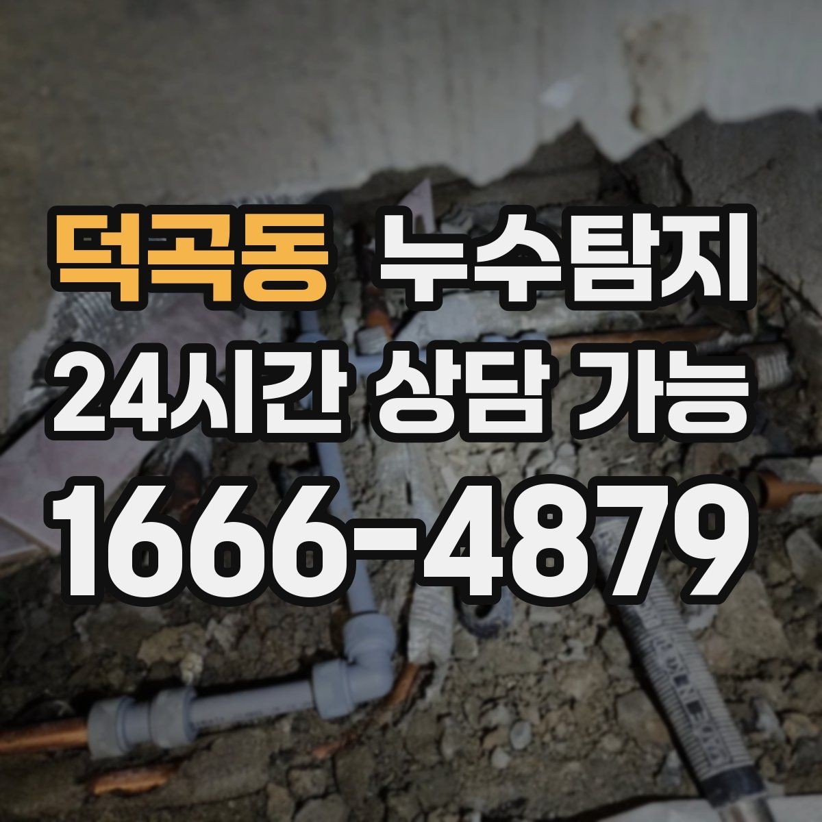 덕곡동 누수탐지 장비 기반 정확 진단