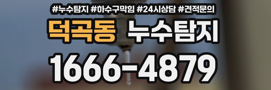 누수탐지