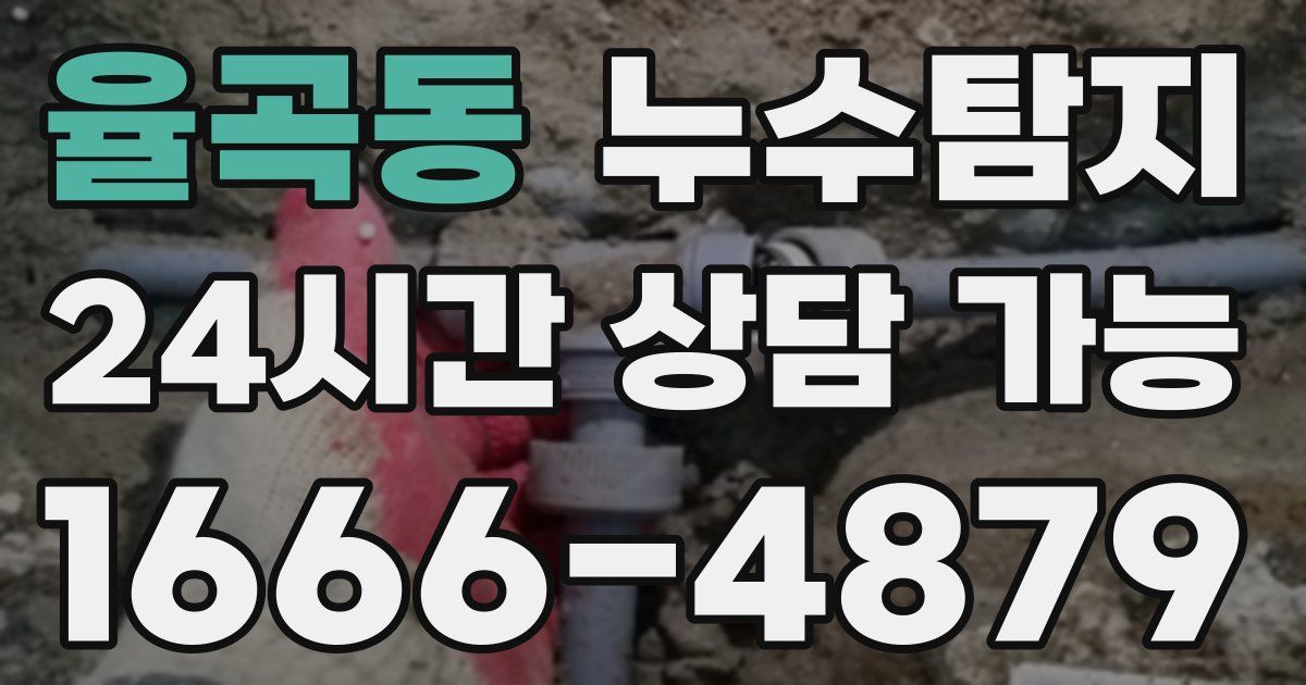 율곡동 누수