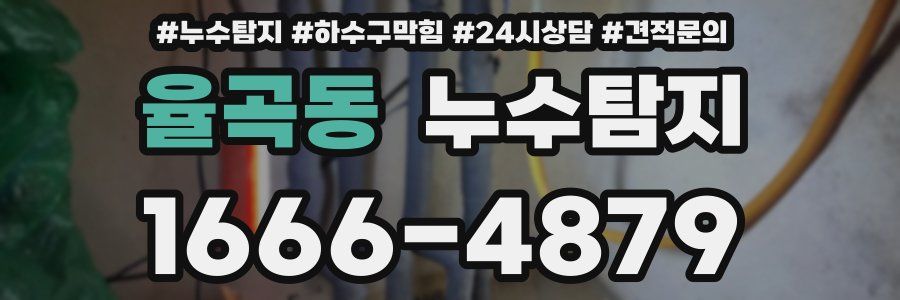 누수탐지