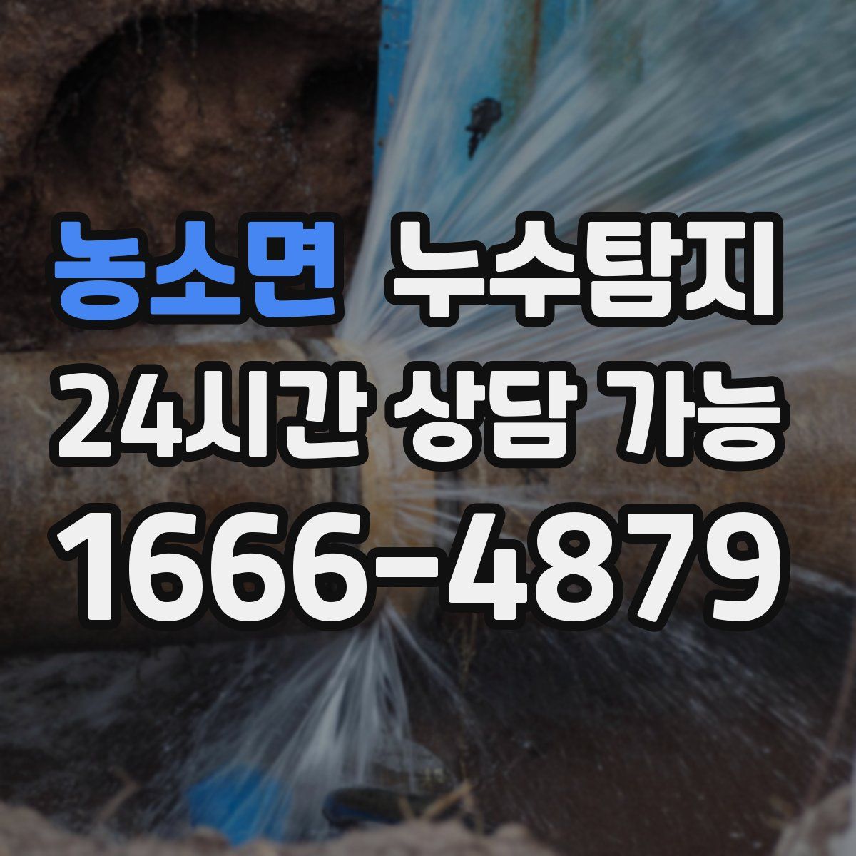 농소면 누수탐지