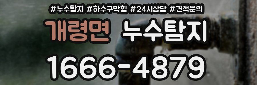누수탐지