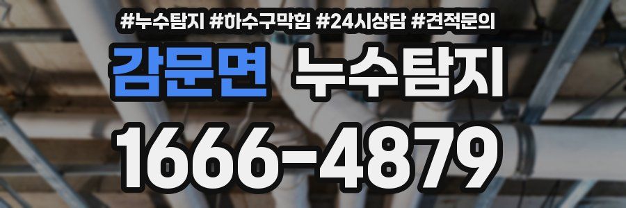 누수탐지