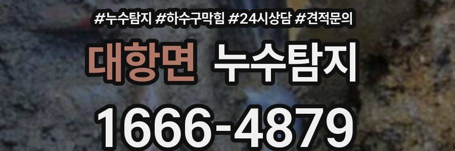 누수탐지