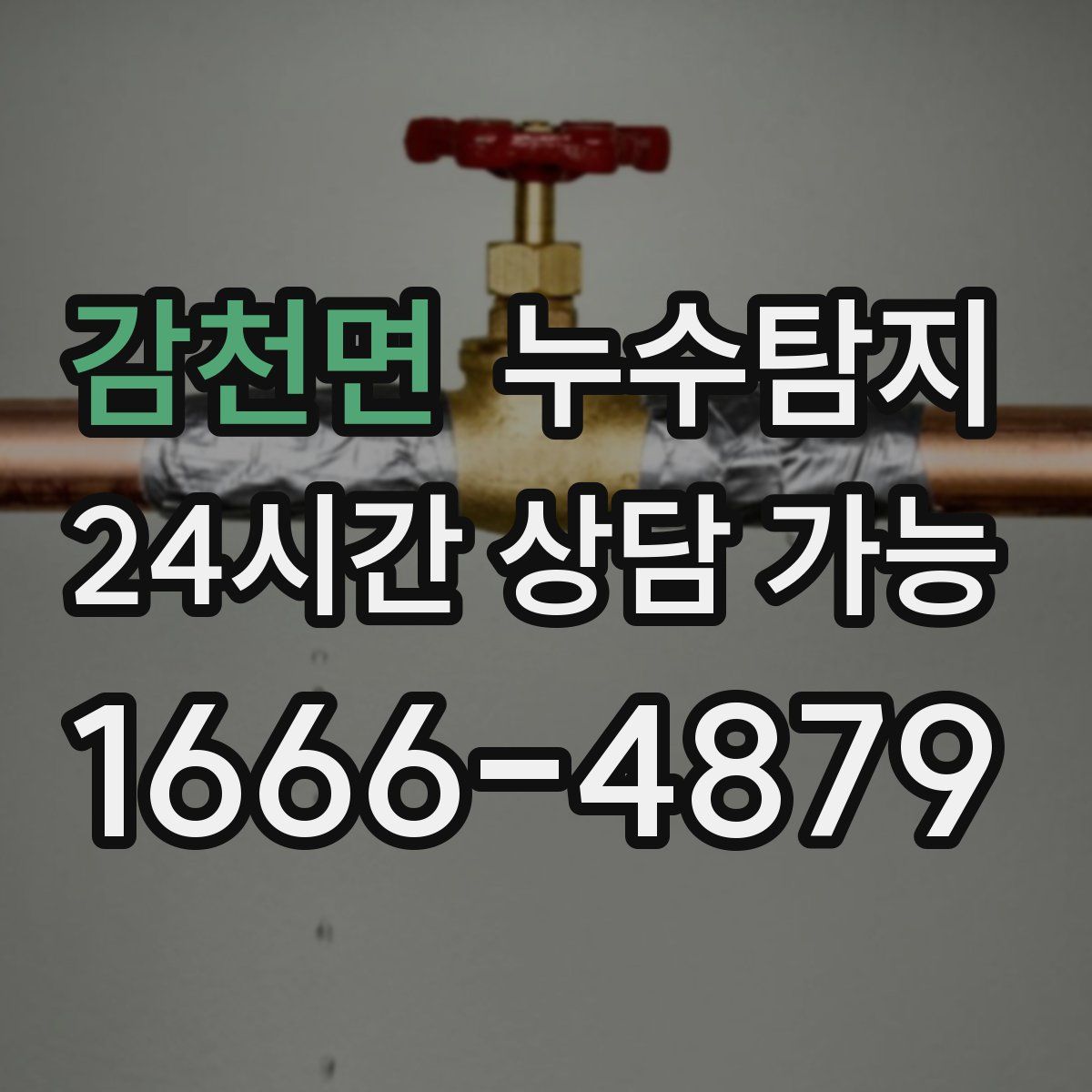 감천면 누수탐지