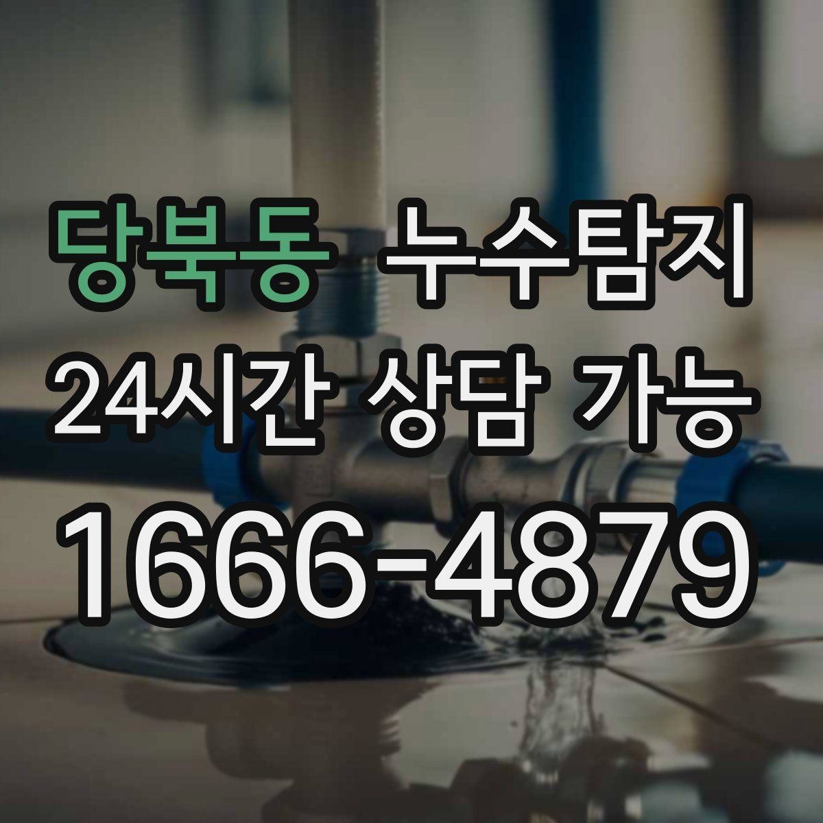 당북동 누수탐지 비용 가격 요금 합리적인 견적 상담 안내